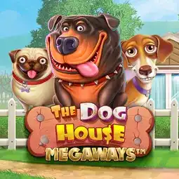 The Dog House Megaways game at Joe Fortune Casino for Australian players