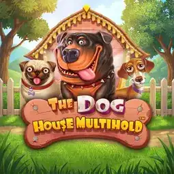 The Dog House Multihold game at Joe Fortune Casino for Australian players